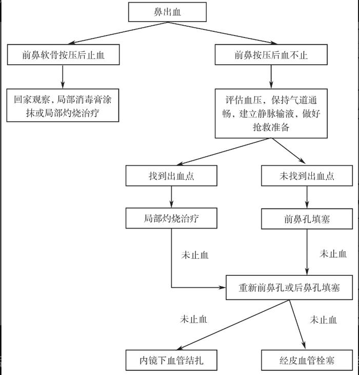 60名儿童集体流鼻血！关于鼻出血，这些你需要了解