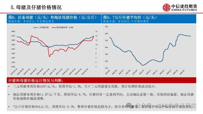 【禽畜周报】生猪交割升贴水调整 鸡蛋关注需求变化