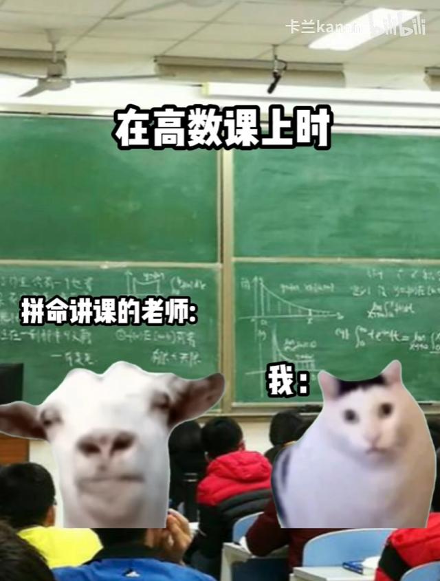 【白夜谈】放过猫meme吧