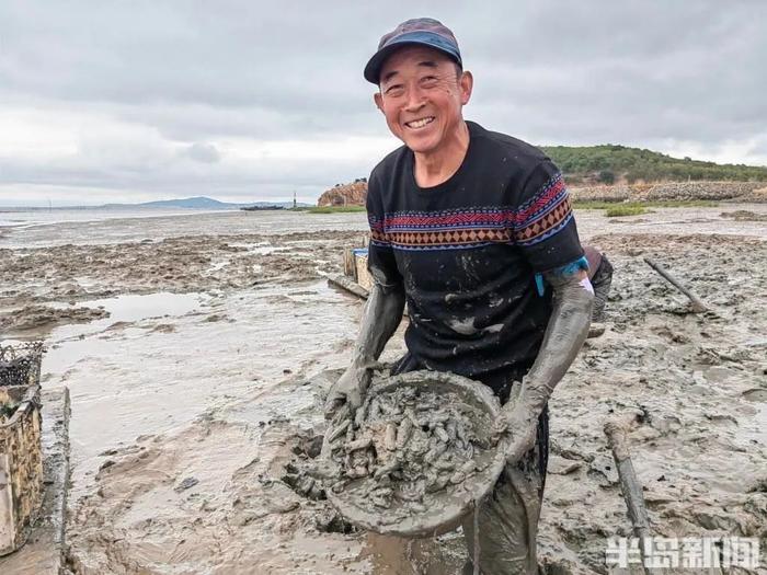 青岛一海滩，一天挖上来2000多斤…眼下最美味的海鲜！挖的过程惊呆网友：以后，我每一口都要好好珍惜