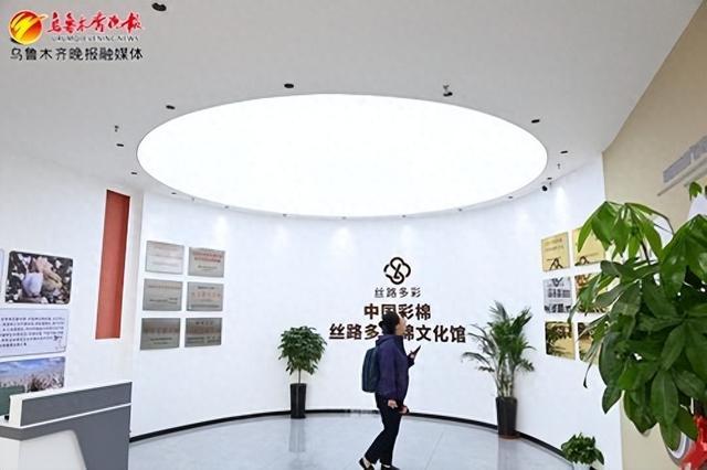5月27日,在高新区(新市区)中国彩棉科技园丝路多彩棉文化馆,游客正在参观主题棉花展。记者陈岩摄