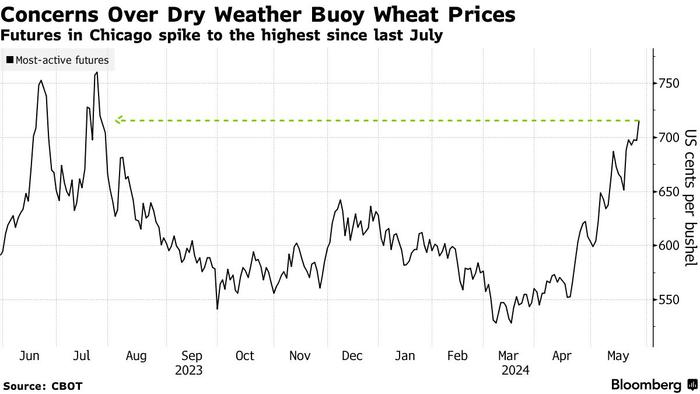 可可疯涨过后小麦接力? 供给预期恶化，小麦价格跳升至九个月最高点