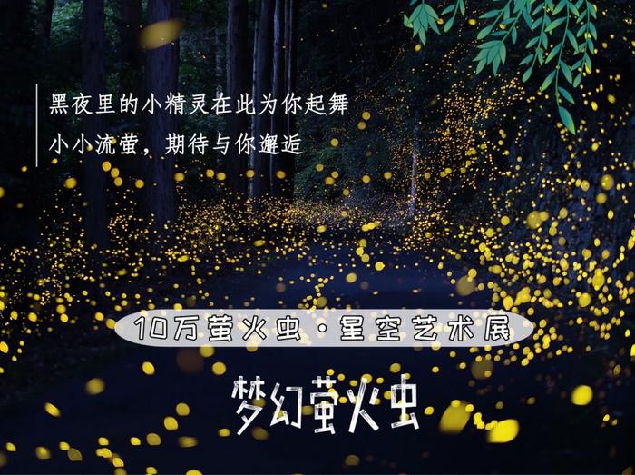 京城最IN夜游！北京十万只真萤火虫星空艺术展，圆你一个童年梦