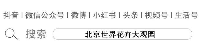 京城最IN夜游！北京十万只真萤火虫星空艺术展，圆你一个童年梦