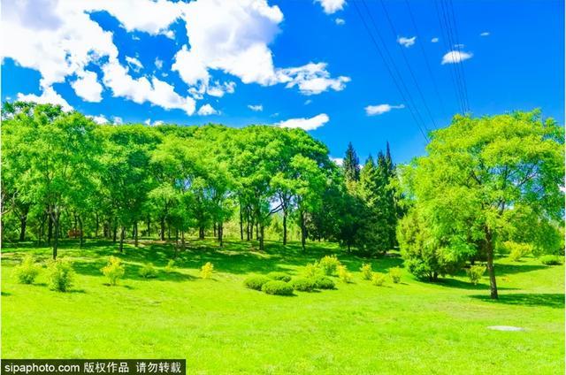 北京夏日超治愈的绿草坪，现实版“天空之城”