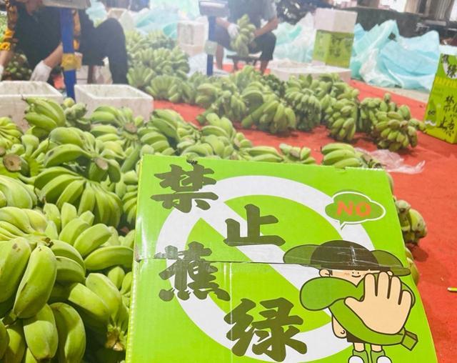 淘工厂日销8万斤“禁止蕉绿”水培香蕉，福建90后返乡创业为300万打工人缓解焦虑