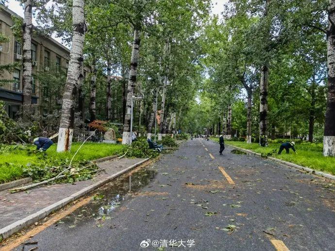 新闻多一度丨多处树木被吹倒，北京今天的风到底有多大？
