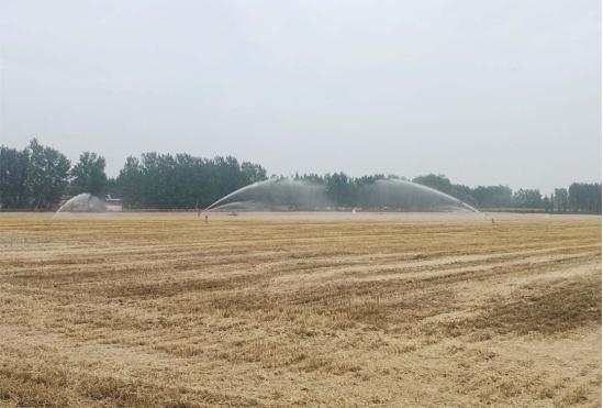 河南黄泛区实业集团：夏收夏种农事忙