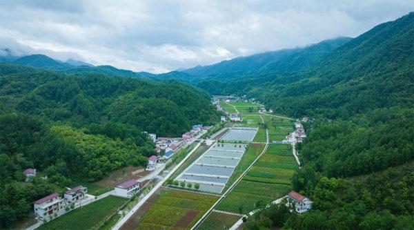 镇安：学习运用“千万工程”经验 绘就乡村振兴新画卷