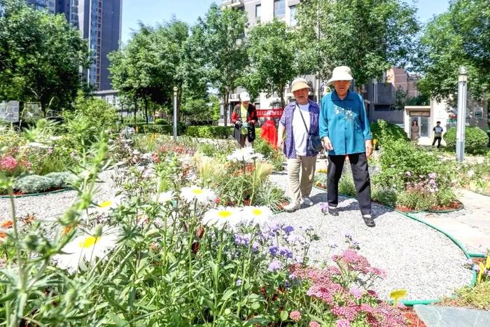 全市试点！副中心这三个社区建微花园！三季有花、四季有景