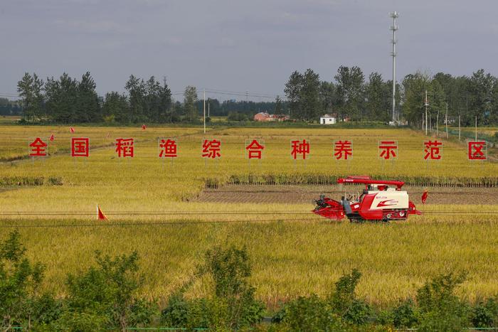 超级中国县丨江苏盱眙：“小龙虾之都”的持续进阶