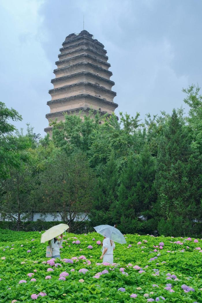 夏花正烂漫，这几个赏花宝藏地快去打卡！