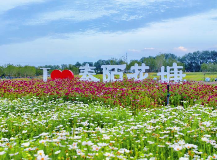 夏花正烂漫，这几个赏花宝藏地快去打卡！