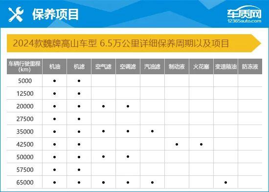 2024款魏牌高山完全评价报告