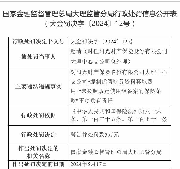 阳光财产保险大理中心支公司总经理被警告并处罚款5万元