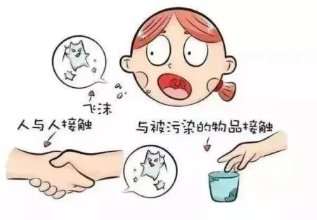 发热、咽痛、皮疹，猩红热高发！护娃指南看这里！