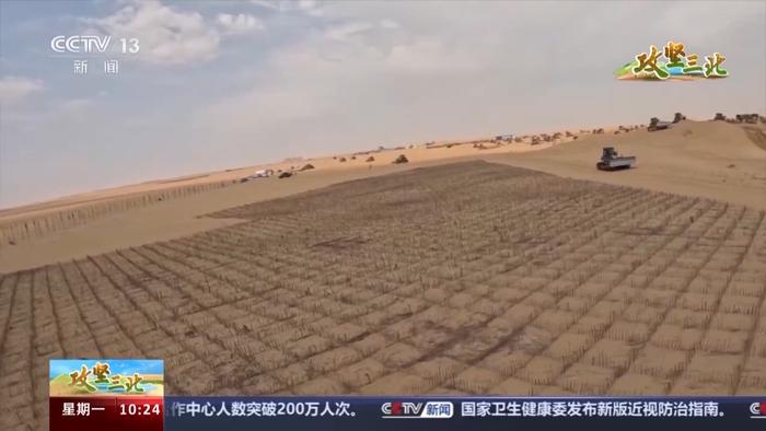 三重防护：草方格+锁边林+光伏板，构建生态治沙新模式