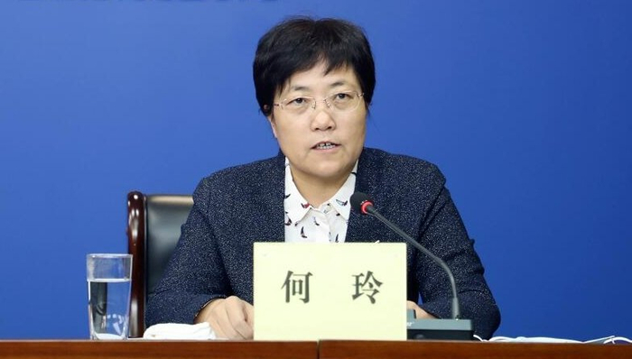 何玲(资料图 来源:陕西新闻网)