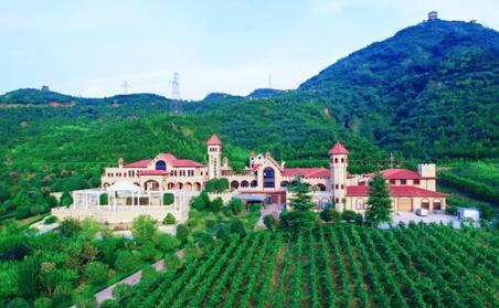 丹凤县依托生态资源聚力打造康养乐园