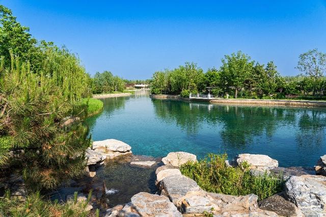 “大片世界”爱意满满，超700种植物和野生鸟类“安家”北京环球度假区