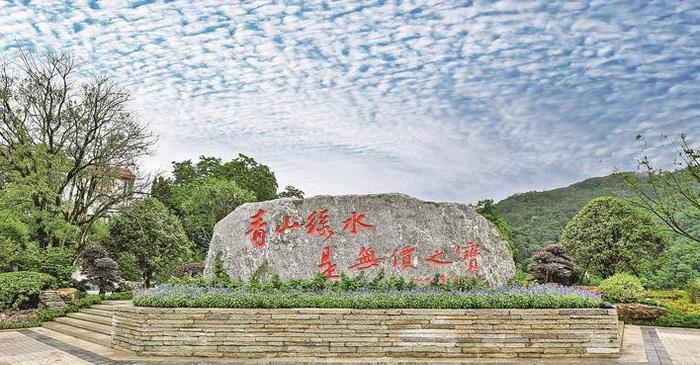 碳票经济：探索中国首个碳票村的绿色发展之路