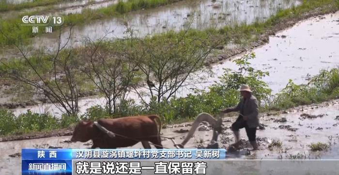 颜值智慧并存：秦岭凤堰梯田探秘 梯田 秦岭 第9张