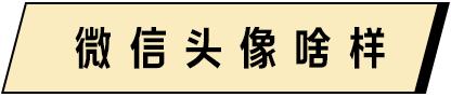 别跟北京男谈钱，别跟深圳男谈爱