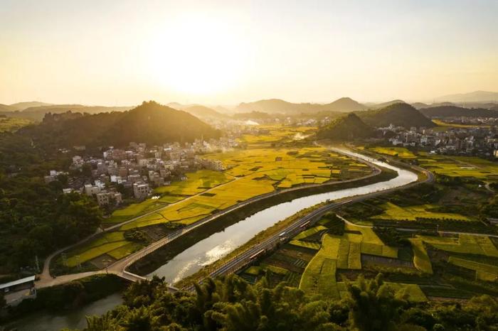 佛山驻镇帮扶白石镇：以酒促旅、以旅兴酒！九江酒厂项目以“美丽经济”绘就乡村振兴“醉美”新画卷