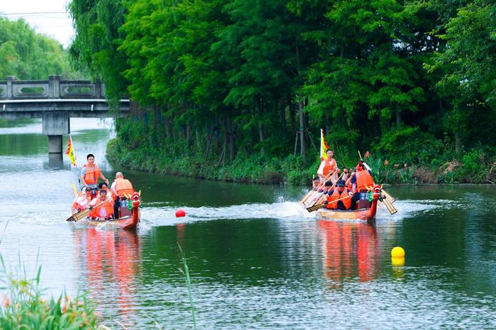 水上舞台、龙舟争渡、非遗体验，上海乡村迎端午颇具“传统”味道