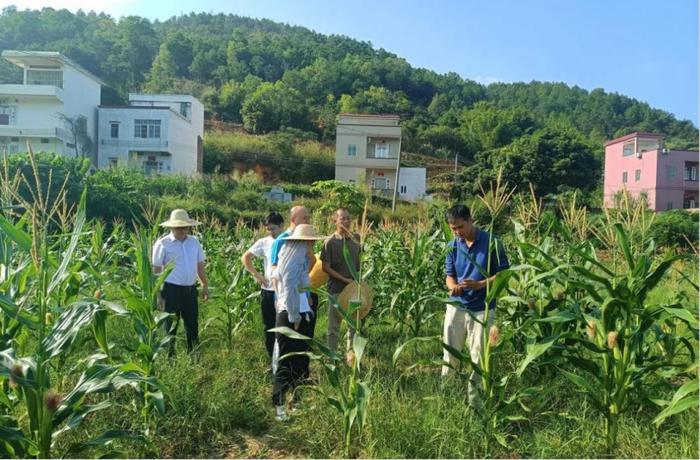 佛山驻镇帮扶白石镇：以酒促旅、以旅兴酒！九江酒厂项目以“美丽经济”绘就乡村振兴“醉美”新画卷