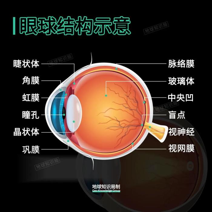 中国14亿人，竟然有7亿近视眼？