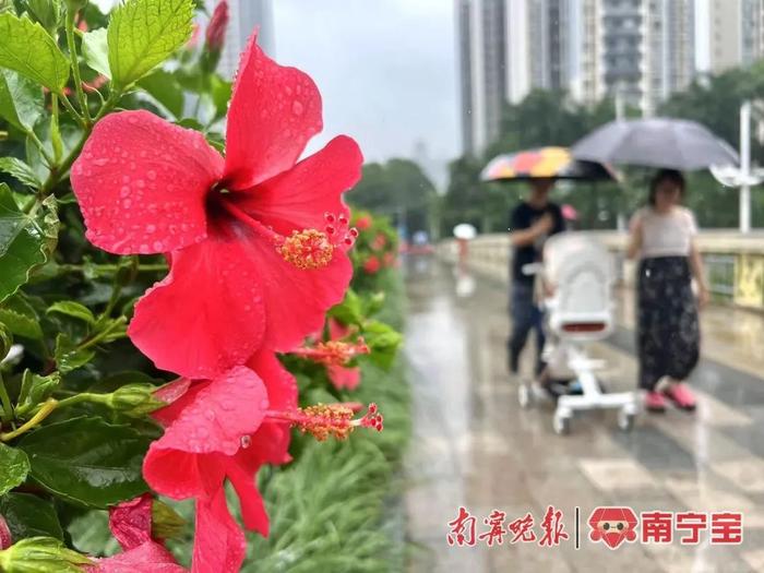 未来一个月，广西还有4次主要降雨、2次高温！