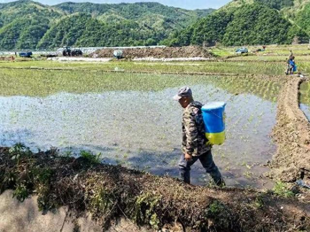 集安市花甸镇： 播种稻田里的希望