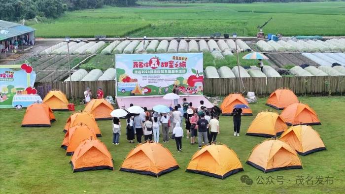 摘荔枝、游古荔园…全国各地自驾车车友到茂名体验甜蜜之旅