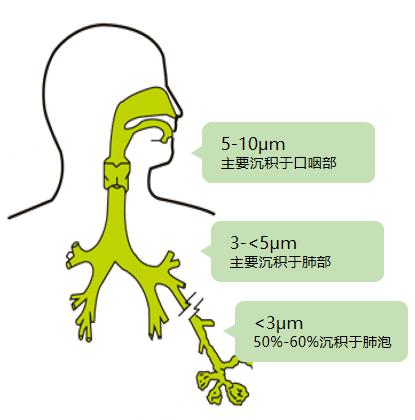 ATS 2024 | 申昆玲教授谈儿童哮喘长期管理要点：规范化诊治与雾化疗法的优势