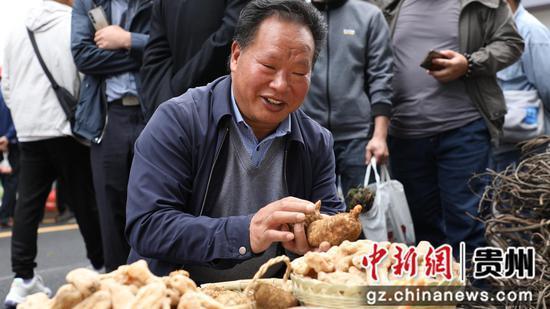 大方县：端午传统药市药香浓