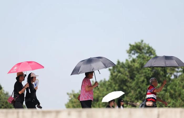 ▲6月11日北京,游客撑伞遮挡烈日。新京报记者 王子诚 摄