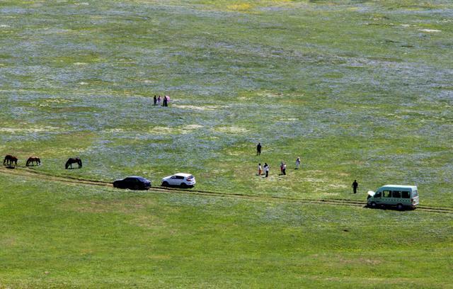 新疆塔城：巴尔鲁克山花烂漫