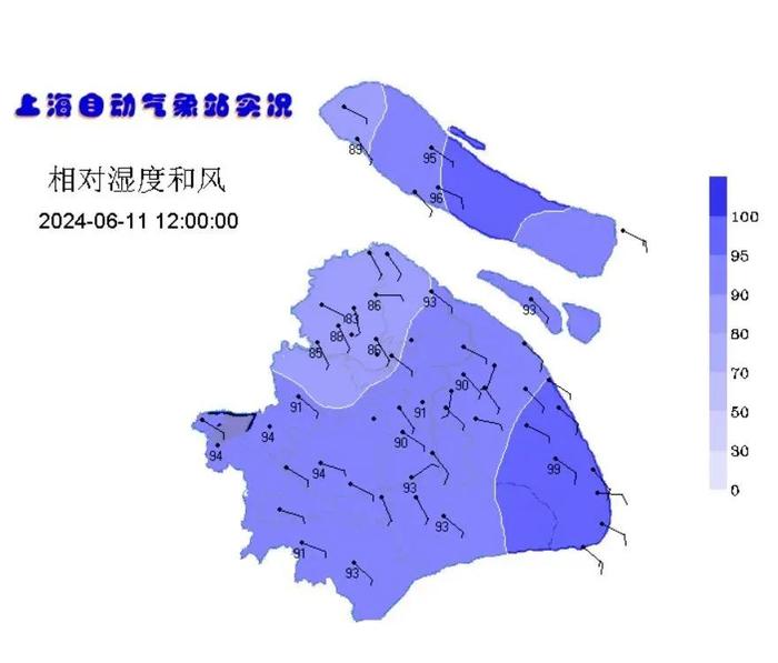 上海的梅雨要来了吗？这几天江南华南等地将有暴雨或大暴雨→