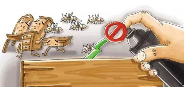 【提示】白蚁来袭，如何防治？注意事项和救济途径有哪些？请收好这份提示→