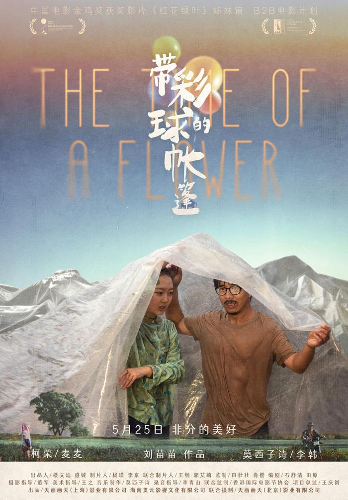《带彩球的帐篷》：宁夏“阿勒泰”的爱情故事