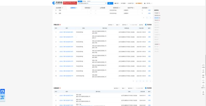 武汉动游因劳动合同纠纷被告，今年来案件涉及湖北、四川等地