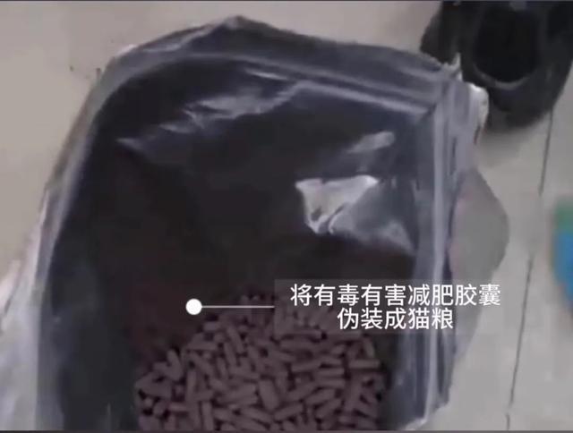 “减肥神药”装在猫粮袋里，呼和浩特警方破获一起生产销售有毒有害食品案