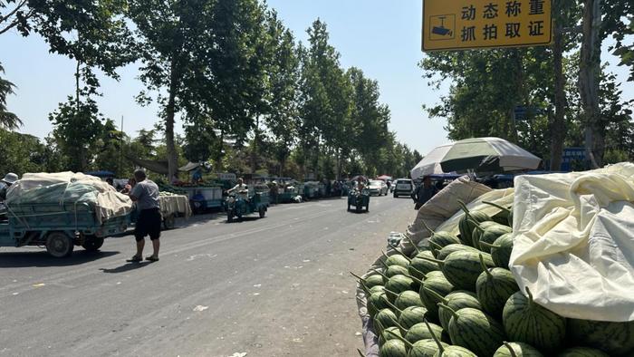 西瓜价格“跳水”？媒体实探郑州西瓜批发集散地