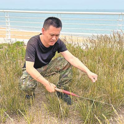 山东日照推动海岸线修复治理，提升人民生活品质——共同建设和呵护美好家园（一线调研）