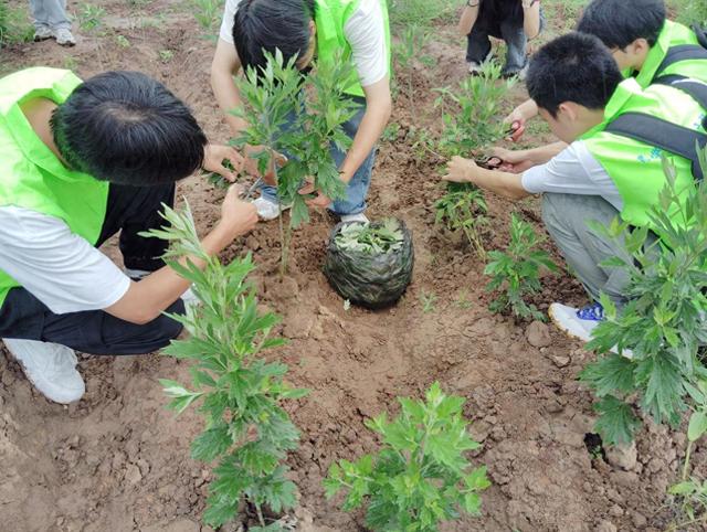 “粽”享端午 重庆理工大学开展志愿服务活动