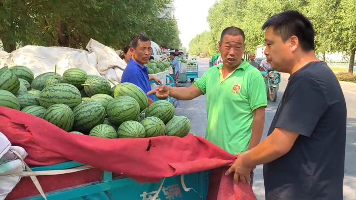 西瓜价格“跳水”？媒体实探郑州西瓜批发集散地