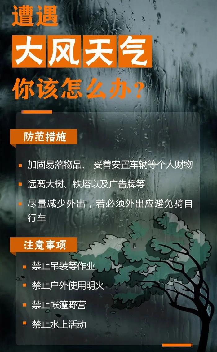 出门带伞！青岛明有短时强降雨、雷电、冰雹+阵风10级！