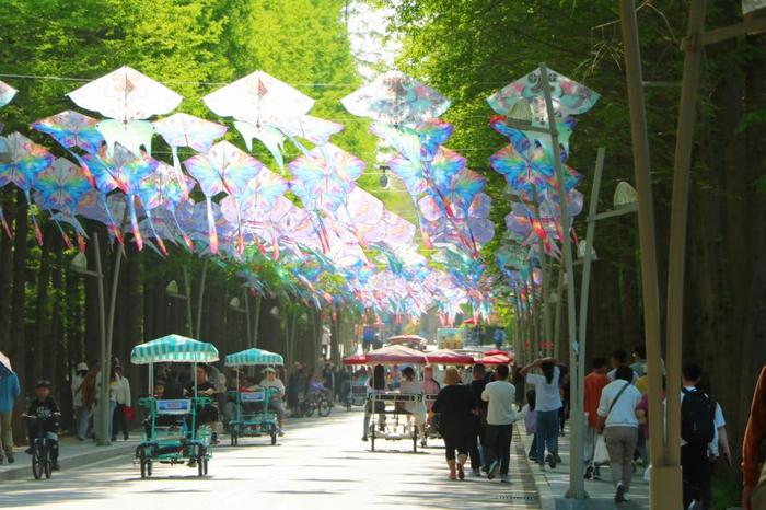 穿越山海 勇立潮头 恒丰银行助力日照谱写现代化海滨城市建设新篇章