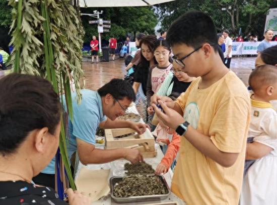 重庆铜梁区：“小艾草”变成致富“大产业”